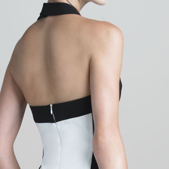 💙Jason Wu Colorblock Halter Sheath Dress - Picture 5 of 8